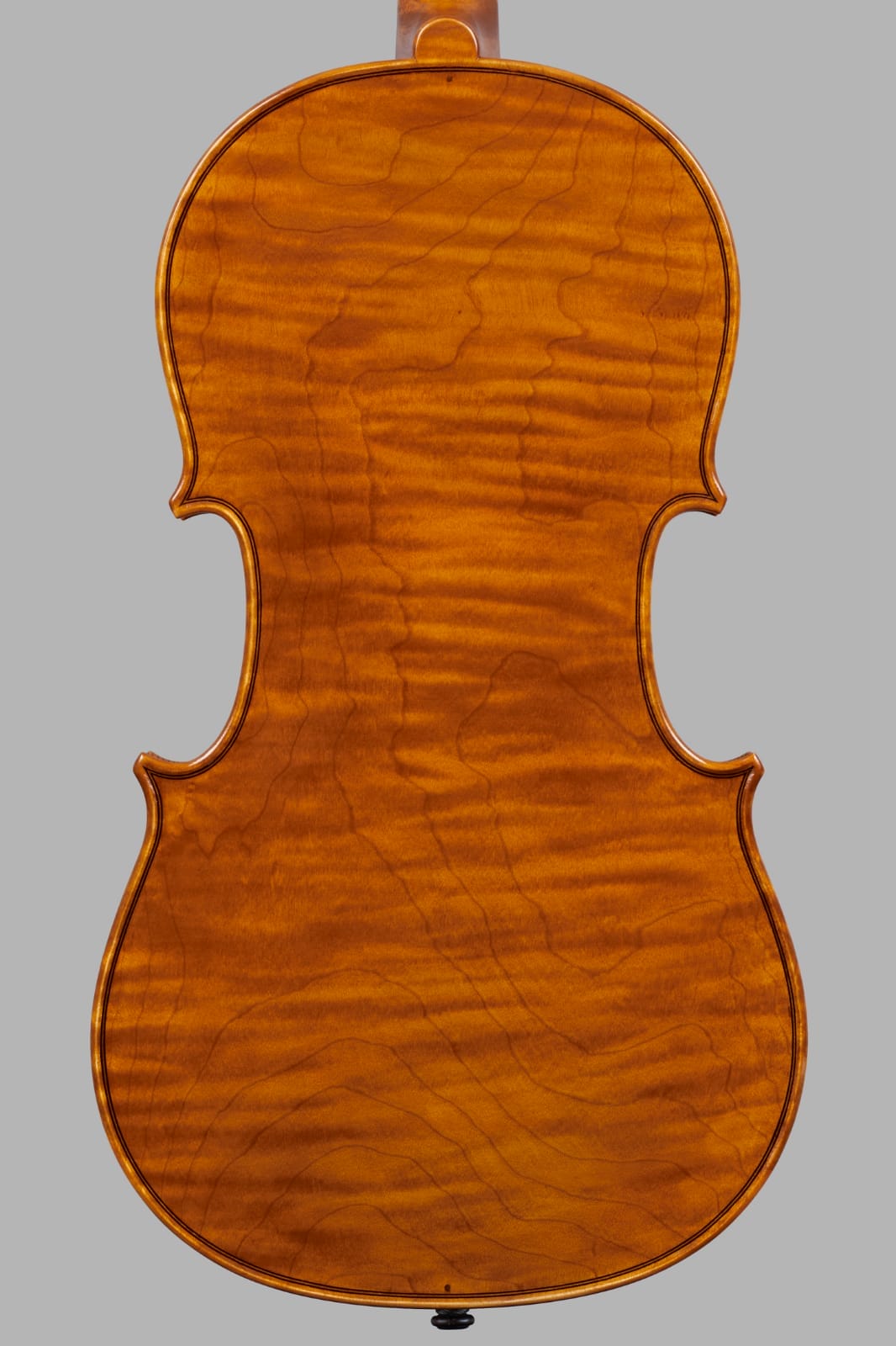 PHOTO-2022-01-24-20-30-24