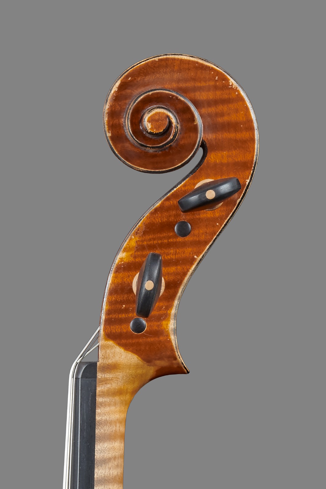 PHOTO-2023-09-24-15-37-59 3